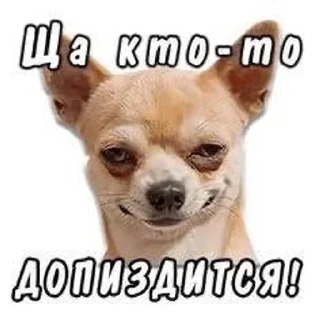 🌟 emoji Gop_Stop Telegram sticker 17 of 51