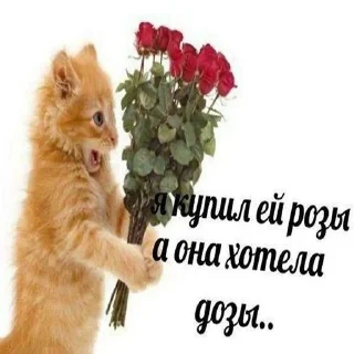 🌹 emoji голые женщины Telegram sticker 22 of 51