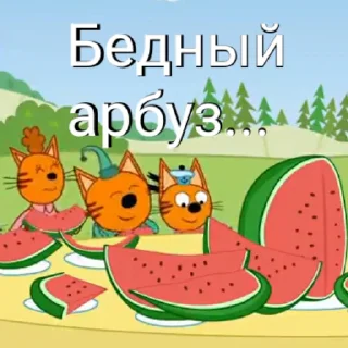 🍉 emoji ТРИ КОТОФЕЯ Telegram sticker 11 of 45