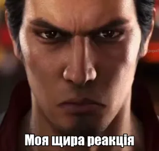 😐 emoji Українські котики @k_ua_s Telegram sticker 8 of 79