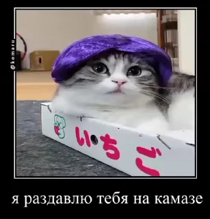 🌟 emoji комару и банда😼 Telegram sticker 22 of 50