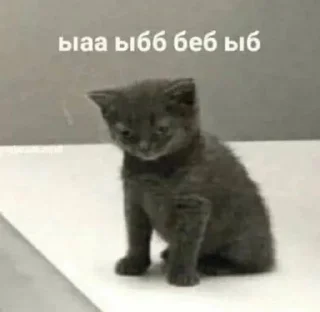 🤬 emoji рандомная поебота Telegram sticker 18 of 38
