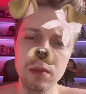 Sticker from шабанов гей заебал🐶