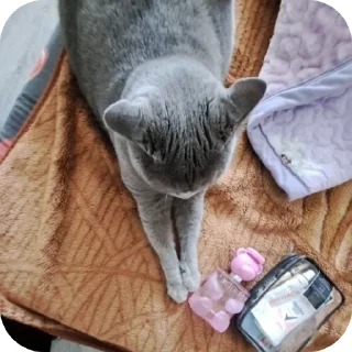 Sticker from ой