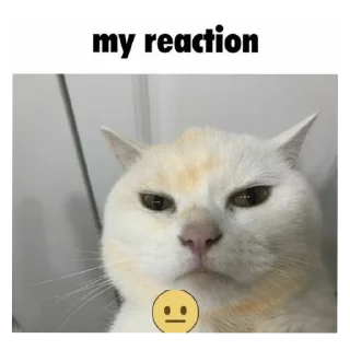 🐱 emoji too odd Telegram sticker 24 of 30