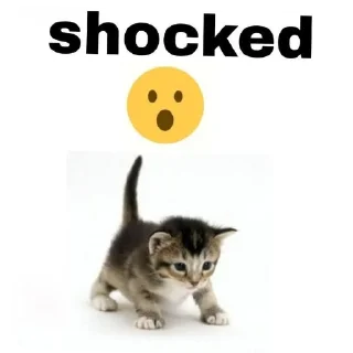 🐱 emoji too odd Telegram sticker 23 of 30