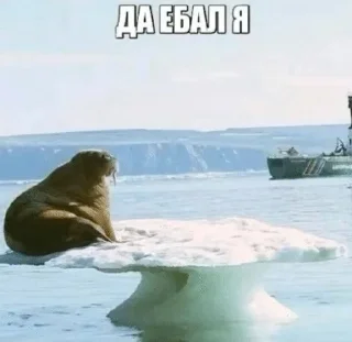 🧊 emoji Смешнявки Telegram sticker 5 of 93