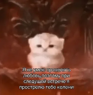 🐱 emoji Смешнявки Telegram sticker 18 of 93