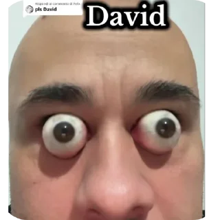💇 emoji Фото і відео Telegram sticker 12 of 23
