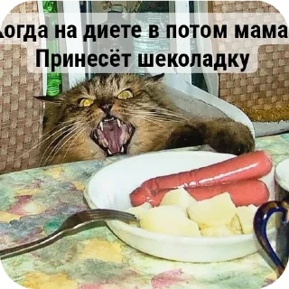 🐱 emoji Пушистый волк Telegram sticker 3 of 13