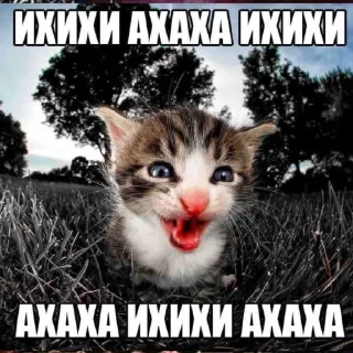 Sticker from Тебя мама не любит