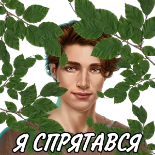 🙈 emoji Лео КР @ajnssnsnsnsm Telegram sticker 24 of 78