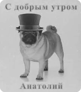 Sticker from рыжие и бесстыжие from krendel