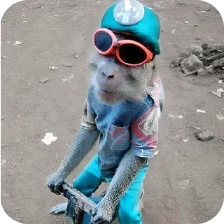😎 emoji БОЛЬШЕ ⇨ @CLOOBHUB ОБЕЗЬЯНЫ МАНКИ СТИКЕРЫ Telegram sticker 21 of 53