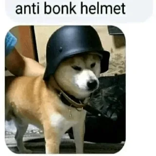 ⛑️ emoji Важные картиночки Telegram sticker 6 of 58