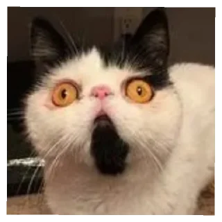 😄 emoji Китти Крейзи Кэт Telegram sticker 6 of 13