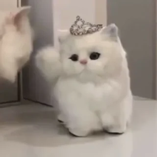 👑 emoji котики🐱 Telegram sticker 19 of 33