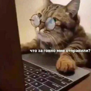 Sticker from я пиздюк. ➡️ @Ctikerubot