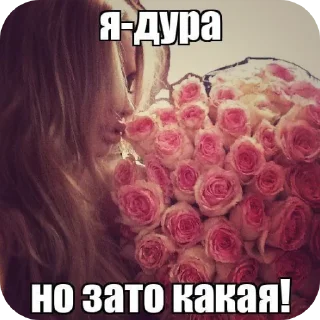 Sticker from Прикольные картинки