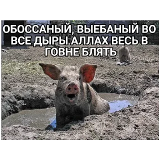 Sticker from АЛЛАХ ПИДОРАС: СПЕЦВЫПУСК