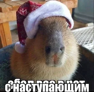 🎄 emoji ухаха Telegram sticker 13 of 33