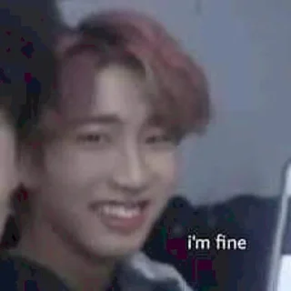 ☹️ emoji STRAY KIDS WORLD DOMINATION Telegram sticker 17 of 102