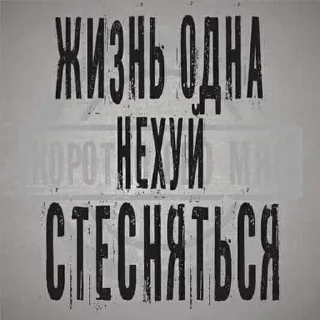 Sticker from Жиза..
