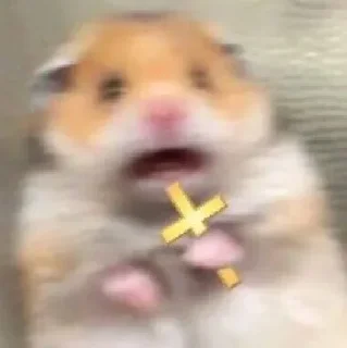 😨 emoji Макс Telegram sticker 12 of 100