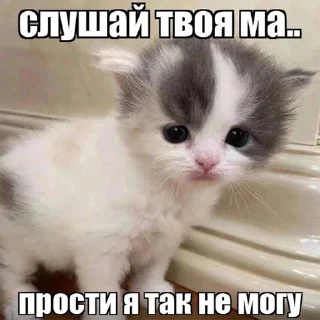😒 emoji пушистые приколы Telegram sticker 7 of 12