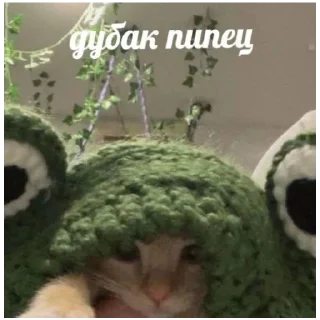 🐱 emoji Пакет от Ани Telegram sticker 22 of 30
