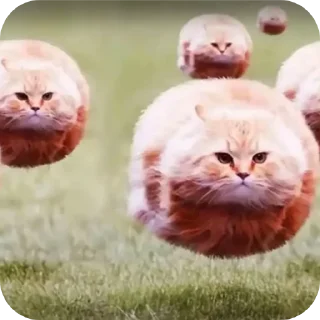 🐱 emoji гамно Telegram sticker 7 of 14