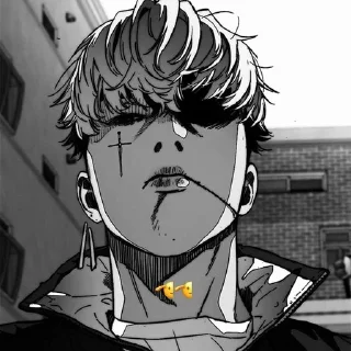 🫡 emoji windbreaker jokerr @fieiro3 :: Telegram sticker 12 of 24