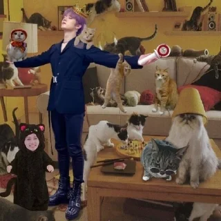 🐈 emoji фелиз навидад Telegram sticker 13 of 108