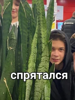 🙇 emoji чурка Telegram sticker 14 of 23