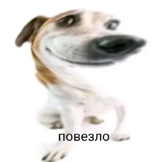 😅 emoji чурка Telegram sticker 12 of 39