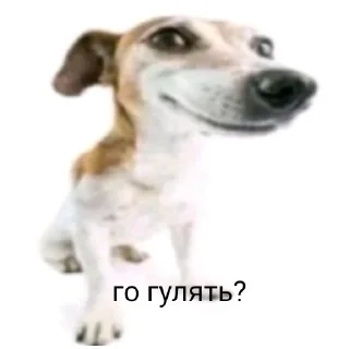 👉 emoji чурка Telegram sticker 13 of 39