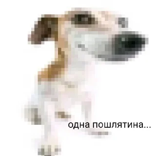 👅 emoji чурка Telegram sticker 20 of 39