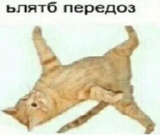 Sticker from Передоз