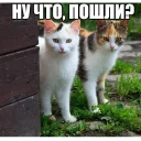 ✊ emoji Котеечные дела Telegram sticker 6 of 37