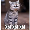 😄 emoji Котеечные дела Telegram sticker 10 of 37