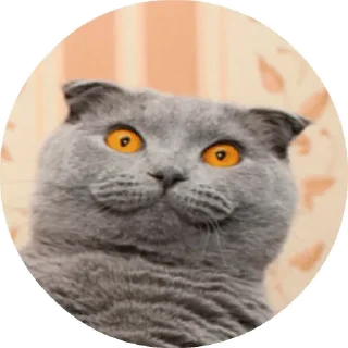 😝 emoji Gossip @TVstickers Telegram sticker 24 of 26