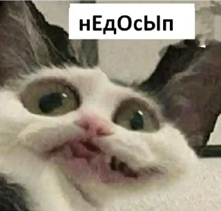 🌙 emoji дайте сил Telegram sticker 11 of 85
