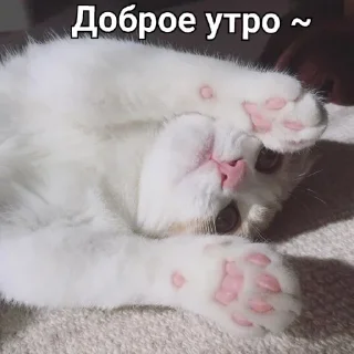🥰 emoji свэг Telegram sticker 11 of 86
