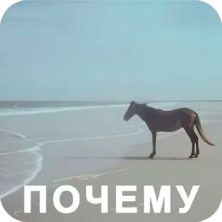 🐎 emoji Алексей стремянка Telegram sticker 19 of 66