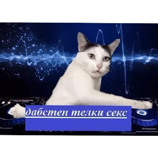 Sticker from ебало закрыл