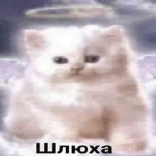 Sticker from ахуй