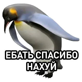 🙏 emoji Must-have sticker pack Telegram sticker 14 of 120
