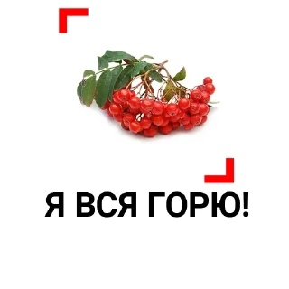 🔥 emoji 3 сентября. LIFE SHOT Telegram sticker 8 of 11