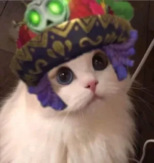 🥺 emoji Kitty IDV @SleepyHero Telegram sticker 17 of 79