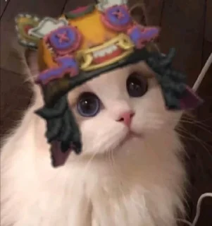 🥺 emoji Kitty IDV @SleepyHero Telegram sticker 13 of 79